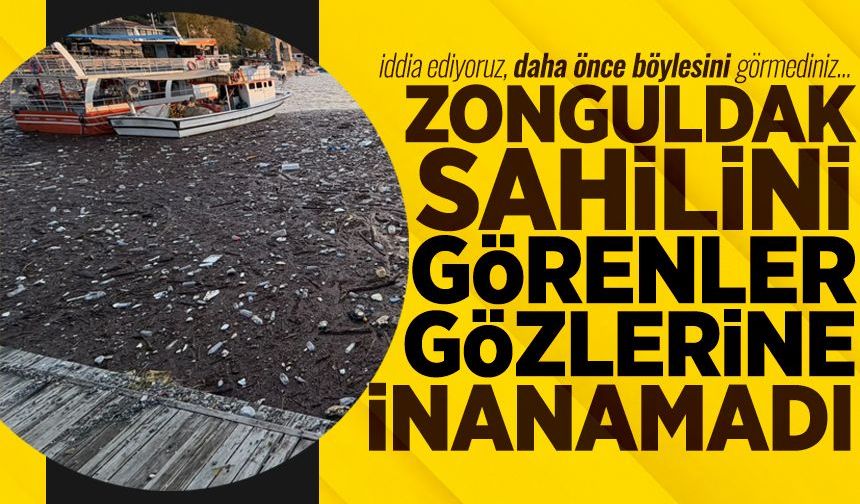 Zonguldak sahili çöplüğe döndü: Görenler gözlerine inanamadı