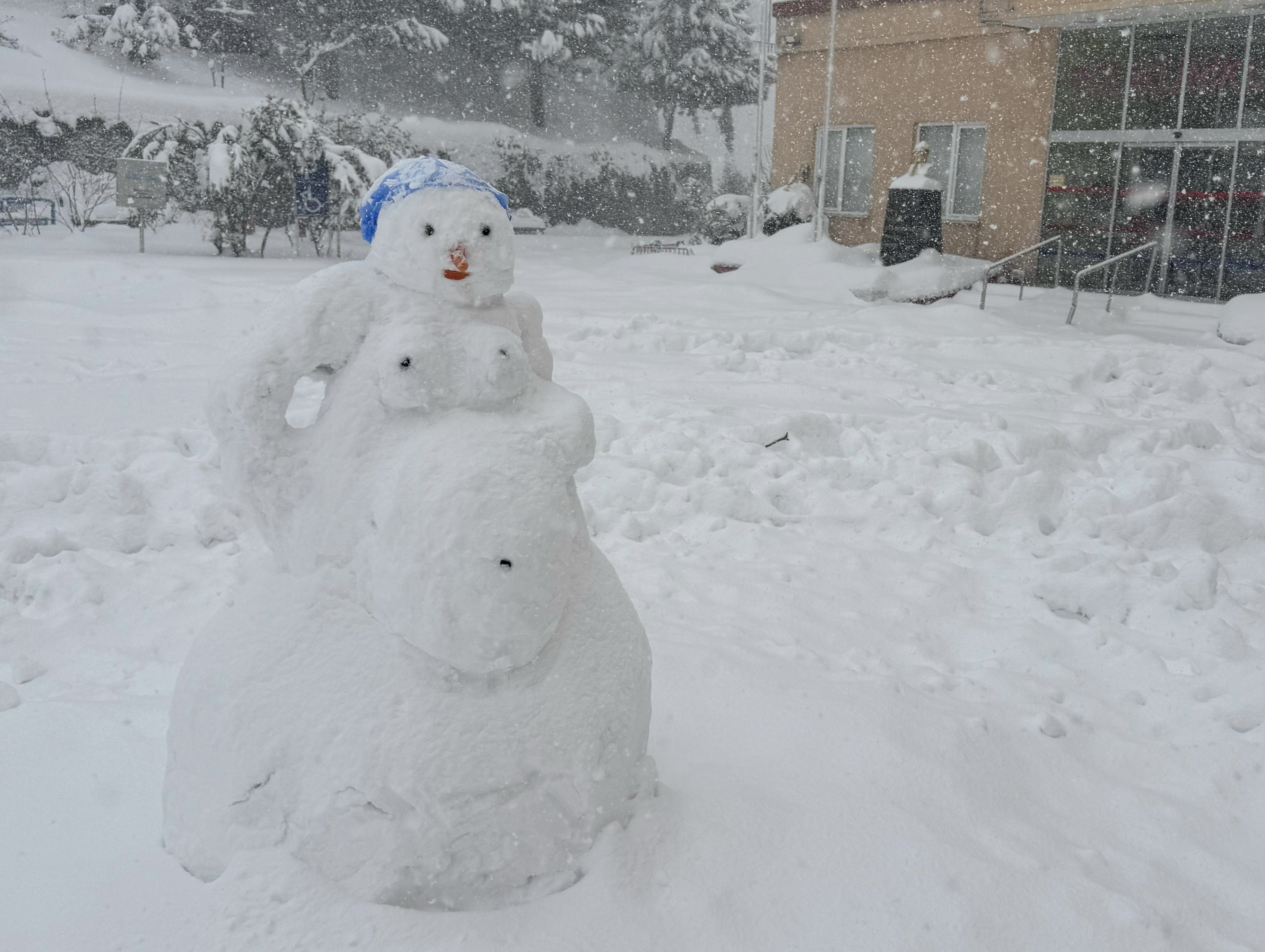 F0D36F24 9426 4Fba A587 C86213Dbcd6B