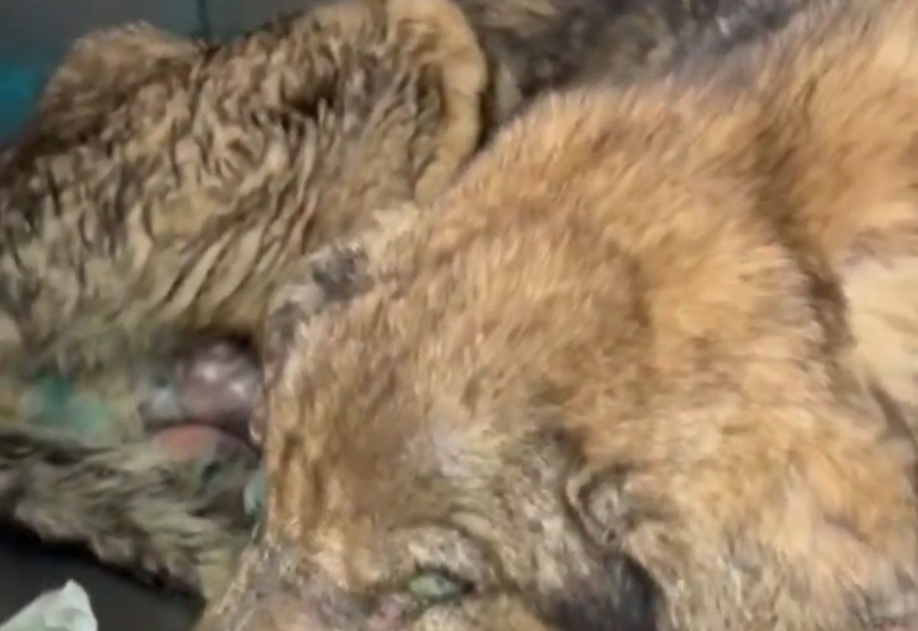 Whatsapp Image 2025 06 28 At 13.49.12