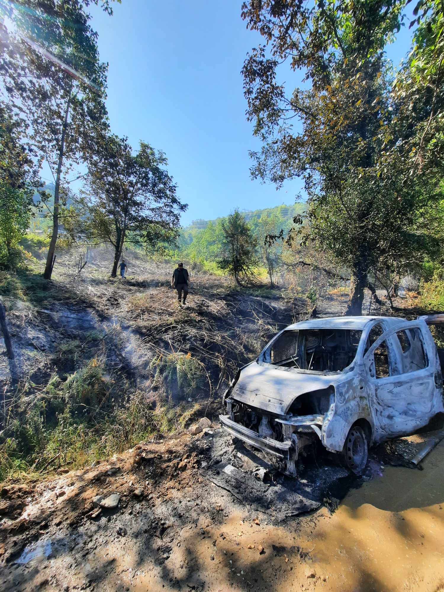 520814932 1362716205856646 338734184424994866 N