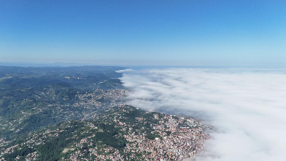 613932Be 4Cce 4950 Ba7E 23B96D1E58E5