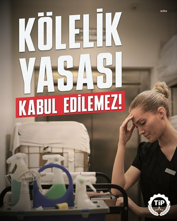 9Ad0Cc93 4D54 41F4 Abc0 Eacf2856886B W