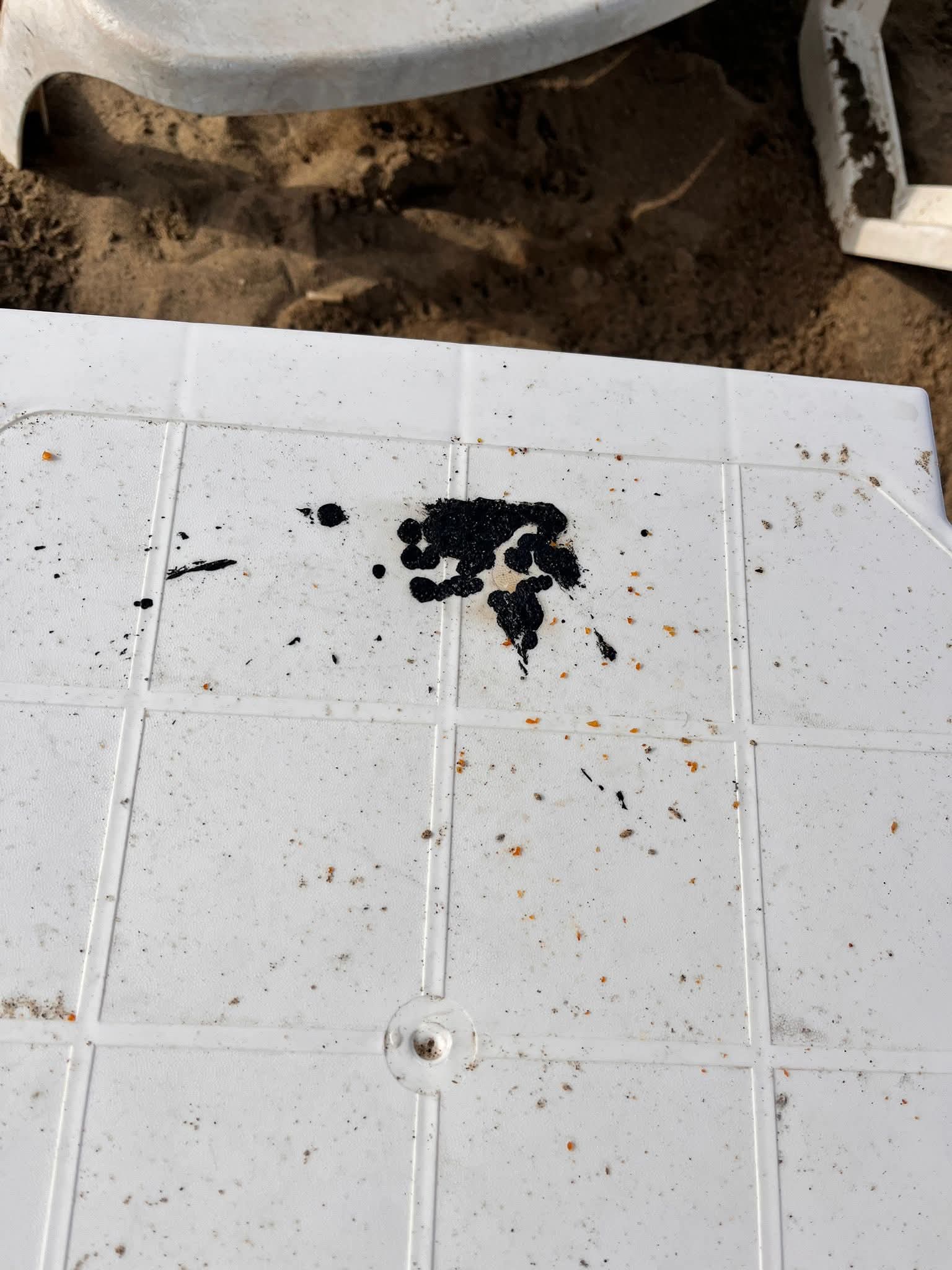 P H O T O 2025 08 05 13 44 10