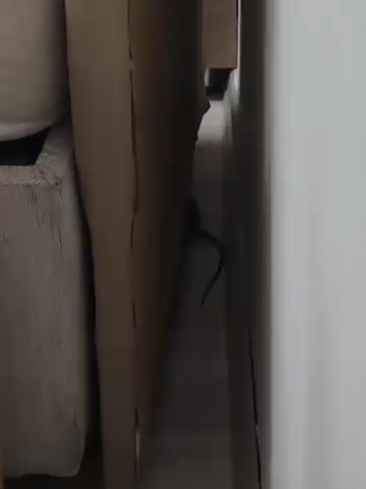 Whatsapp Image 2025 09 25 At 11.44.30 (1)