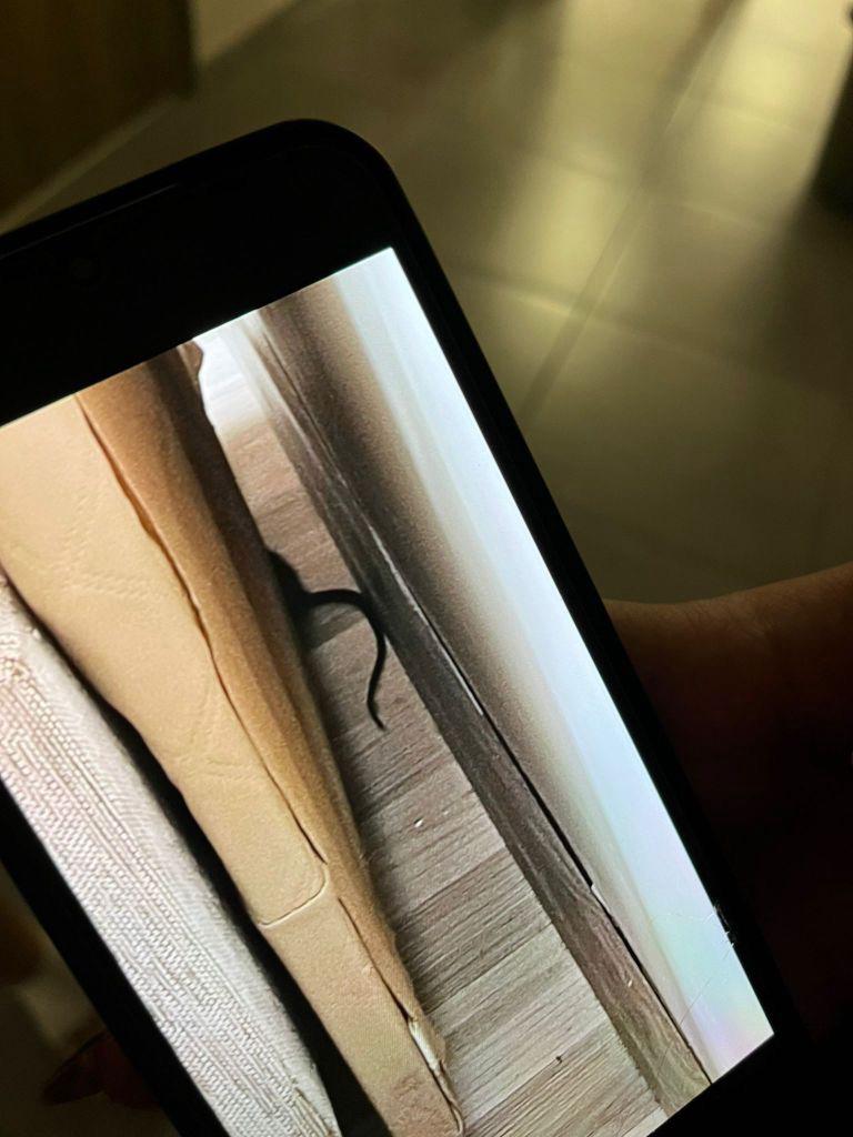 Whatsapp Image 2025 09 25 At 11.44.30