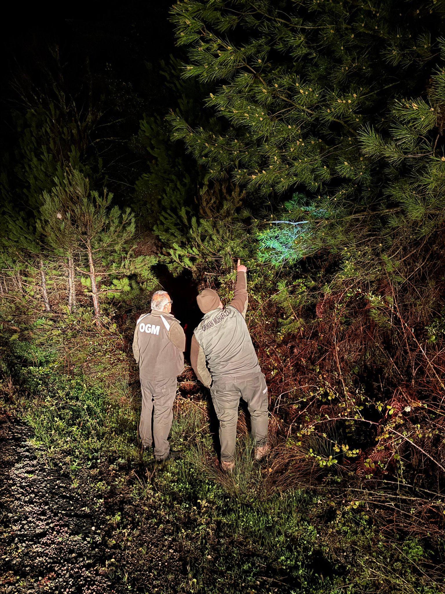 678518388 1268783632094678 5592297187231897776 N