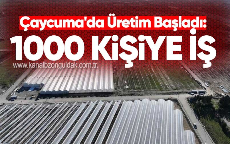 Çaycuma'da Üretim Başladı: 1000 Kişiye İş
