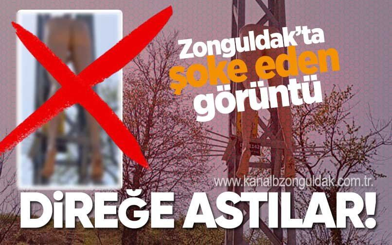 Zonguldak'ta şoke eden görüntü