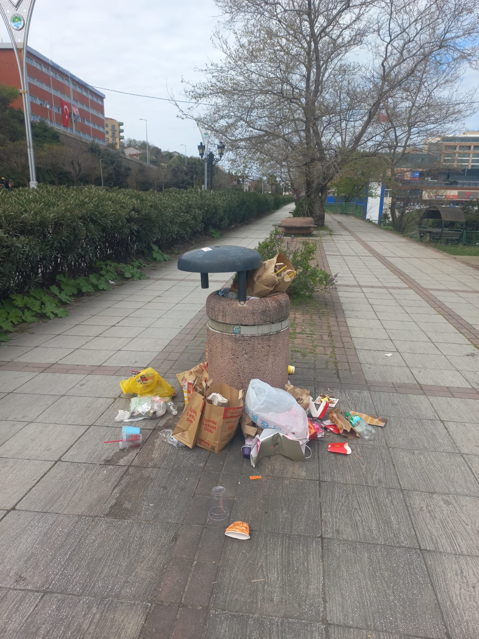 Whatsapp Image 2026 04 24 At 11.10.04 (1)