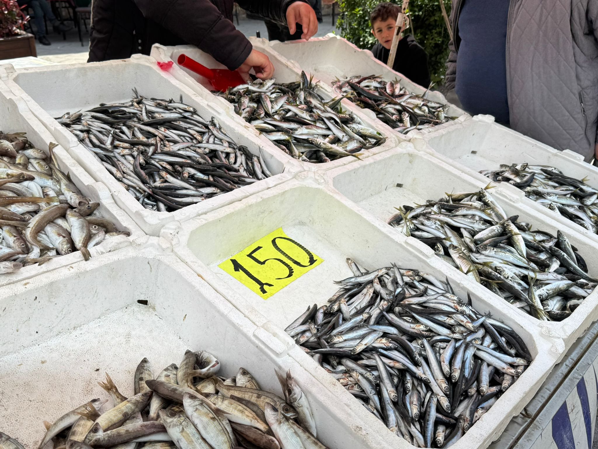 Whatsapp Image 2026 04 24 At 13.21.22