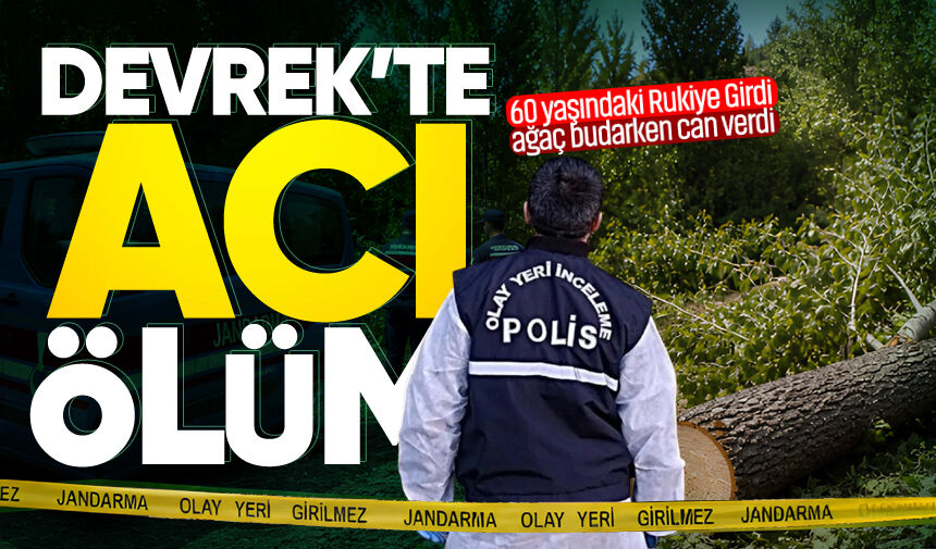 Devrek’te kahreden ölüm: Ağaç budarken düşüp hayatını kaybetti!