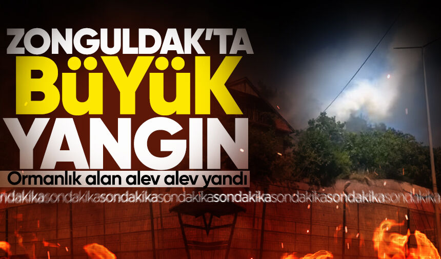 Zonguldak'ta büyük yangın: Ormanlık alan alev alev yandı