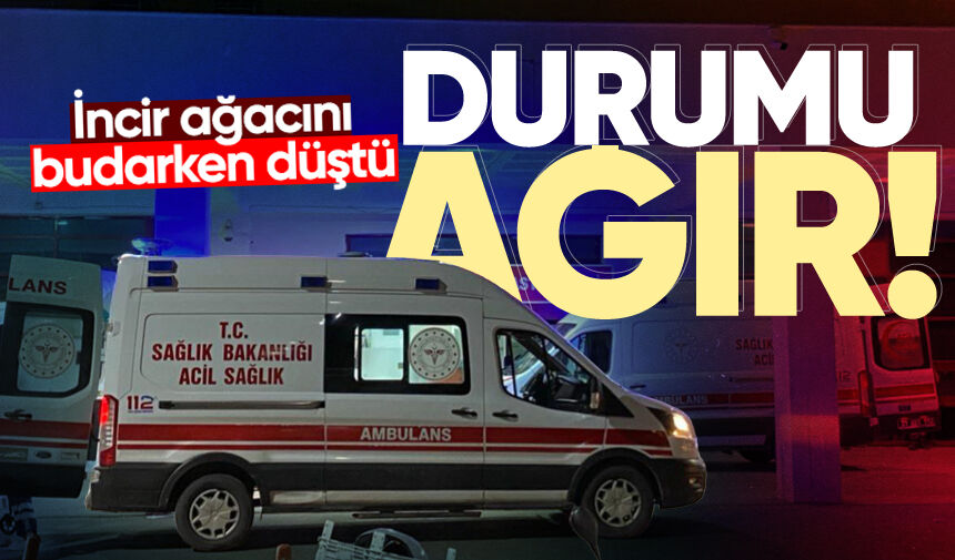 İncir ağacını budarken düştü: Durumu ağır