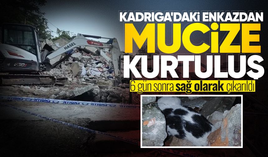 Kadrıga'daki enkazdan 6 gün sonra mucize kurtuluş! Sağ olarak çıkarıldı...